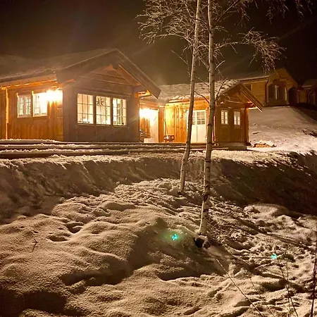 Dom wakacyjny Nydelig Og Usjenert Hytte Naer Fla, Fjell Og Vann.