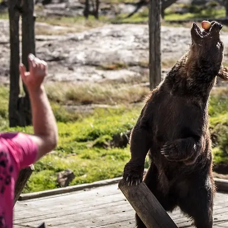 Nydelig Og Usjenert Hytte Naer Fla, Fjell Og Vann.
