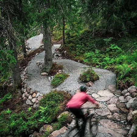 Dom wakacyjny Nydelig Og Usjenert Hytte Naer Fla, Fjell Og Vann.
